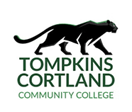 Biz Logo